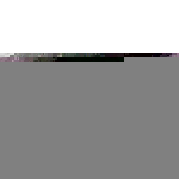 DIN98-KT-20-D Revolving Handle Plastic, J.W. Winco, Mfr#: 20WG59/D